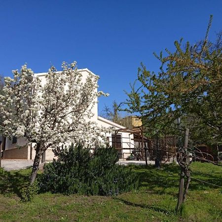 לינה וארוחת בוקר Mondavio Sotto L'Ulivo מראה חיצוני תמונה