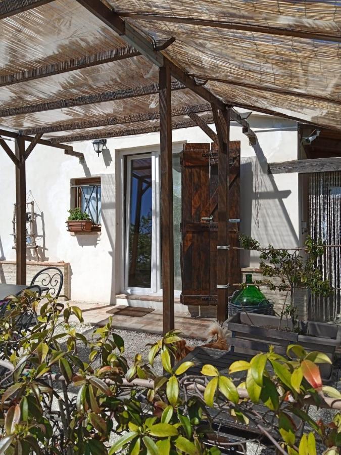 לינה וארוחת בוקר Mondavio Sotto L'Ulivo מראה חיצוני תמונה