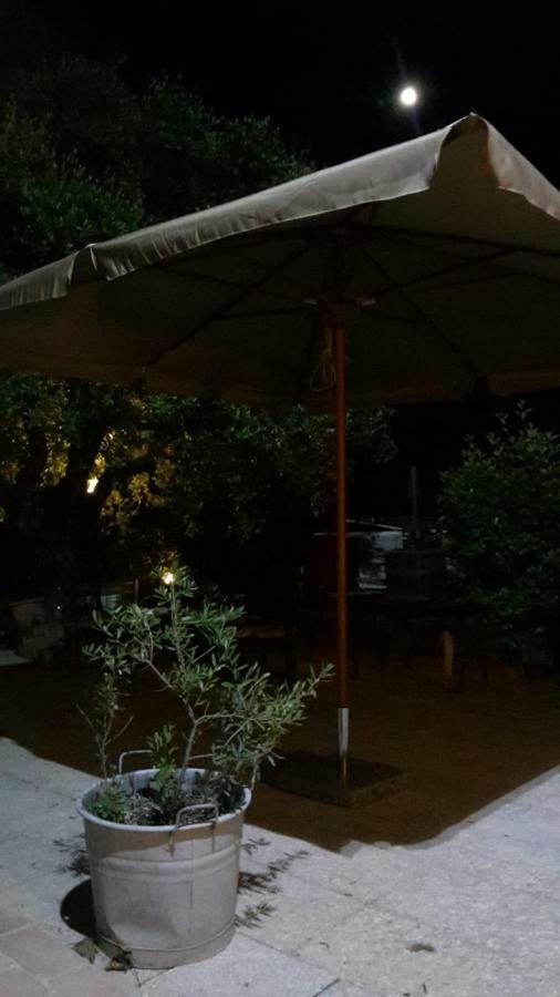 לינה וארוחת בוקר Mondavio Sotto L'Ulivo מראה חיצוני תמונה