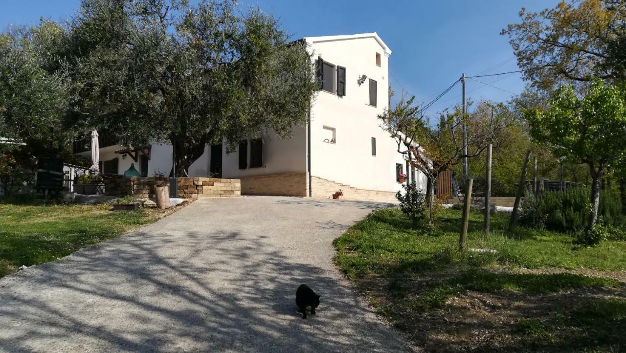 לינה וארוחת בוקר Mondavio Sotto L'Ulivo מראה חיצוני תמונה