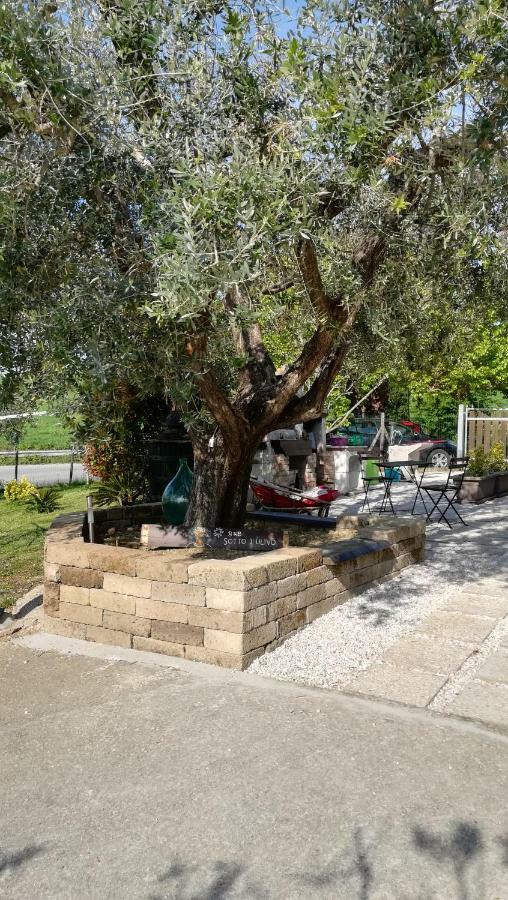 לינה וארוחת בוקר Mondavio Sotto L'Ulivo מראה חיצוני תמונה