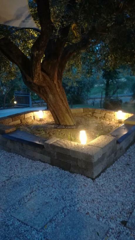 לינה וארוחת בוקר Mondavio Sotto L'Ulivo מראה חיצוני תמונה